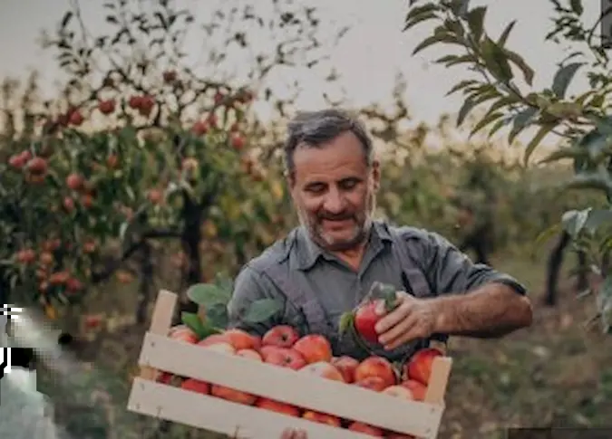 ¡Frutería Pura Vida de Montehermoso: Tu Aliado para una Vida Saludable!